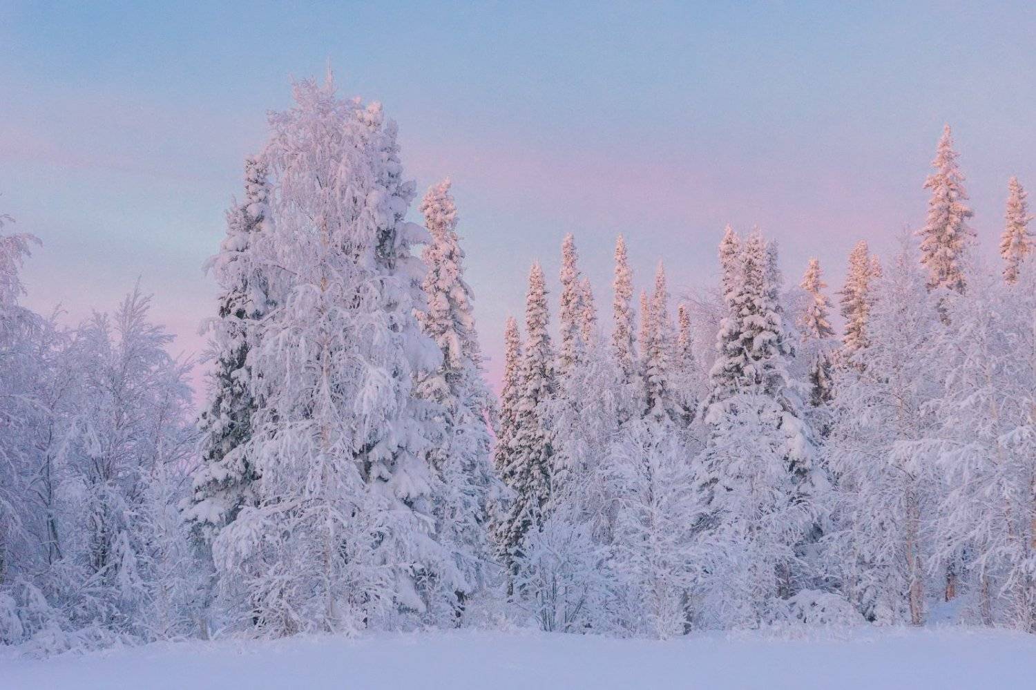 печора,коми,снег, Игорь Подобаев