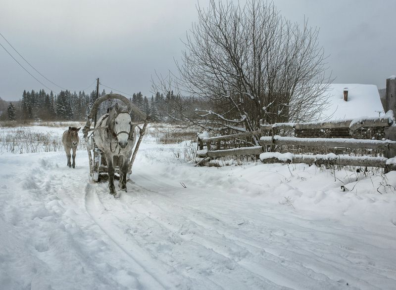 Зима в деревне.photo preview