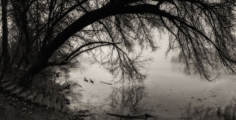 Есть в старом парке чёрный пруд...photo preview