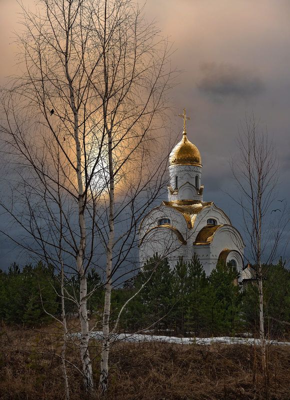 Грачи прилетелиphoto preview