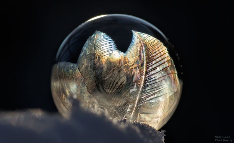 макро, природа, мыльные пузыри, лед, зима, снег, macro, nature, soap bubbles, ice, winter, snow, frozzenbubbles Ледяные папоротникиphoto preview