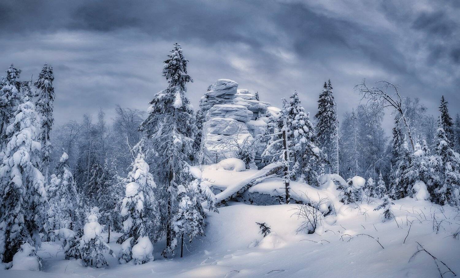 Буря мглою небо кроет .... Автор: Сергей Межин , Сергей Межин