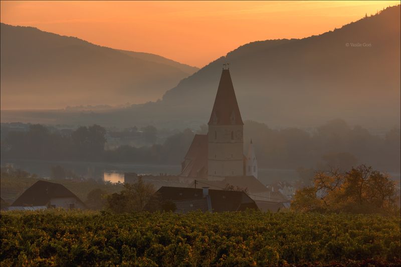 австрия,weißenkirchen,осень,белая церковь,wachau,österreich,виноградники,morning,colors,fog Weißenkirchenphoto preview