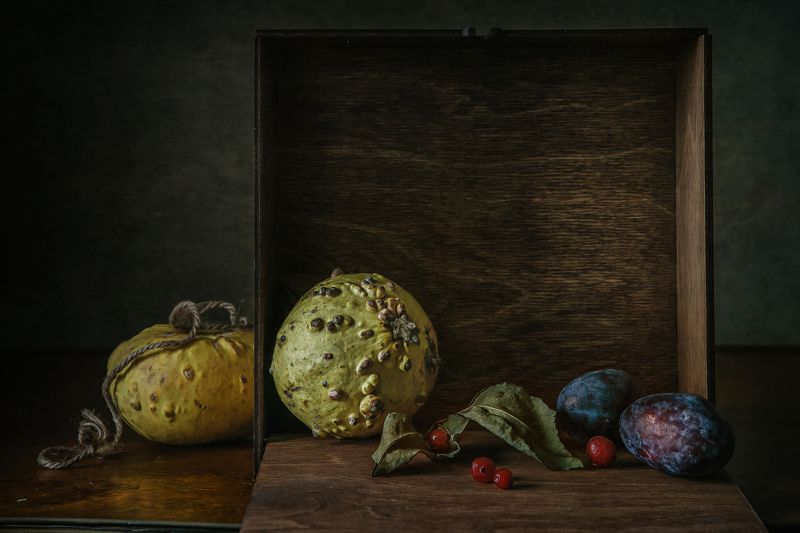 натюрморт, тыква, слива Тыковки и сливыphoto preview