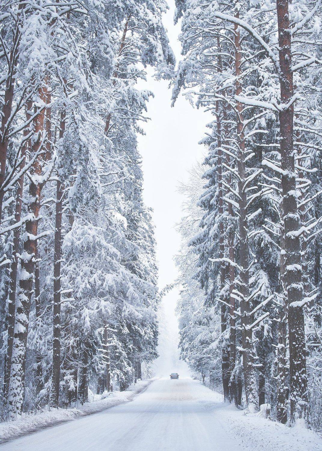 Winter road. Автор: Антон Кононов , Антон Кононов