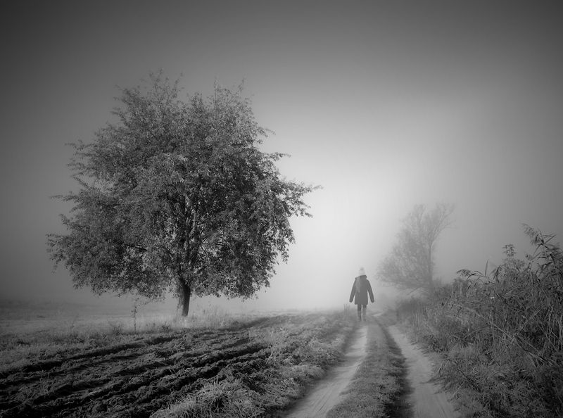 walk among the fields ...photo preview