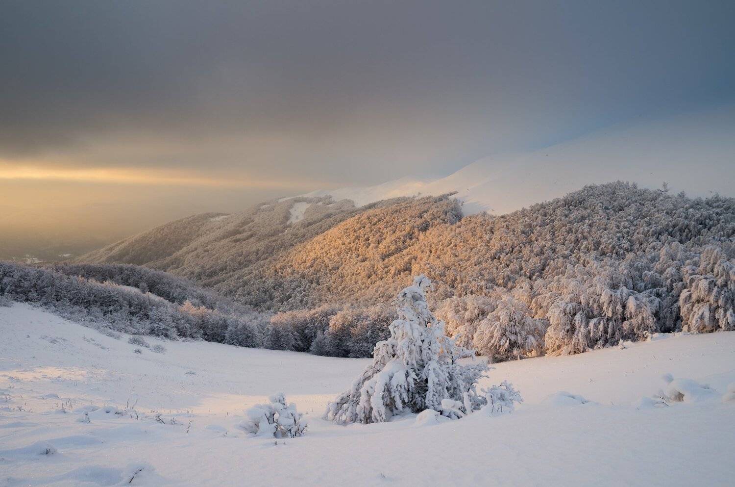 Bieszczady. Автор: Mirek Pruchnicki bieszczady, mountains, national park, poland, winter, snow, sunset, clouds, frost, Mirek Pruchnicki