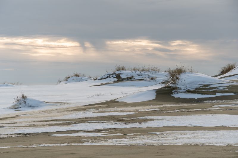 Зима в дюнахphoto preview