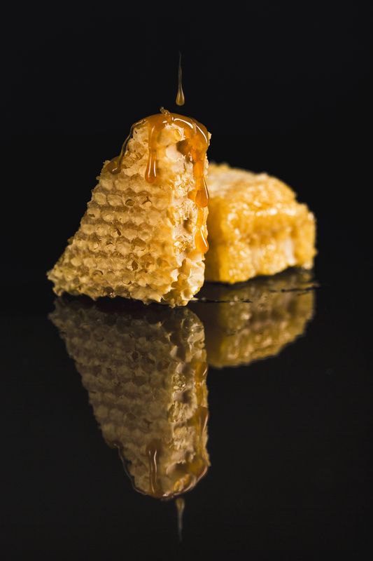 honey combs, food, мёд, еда Honey Combsphoto preview