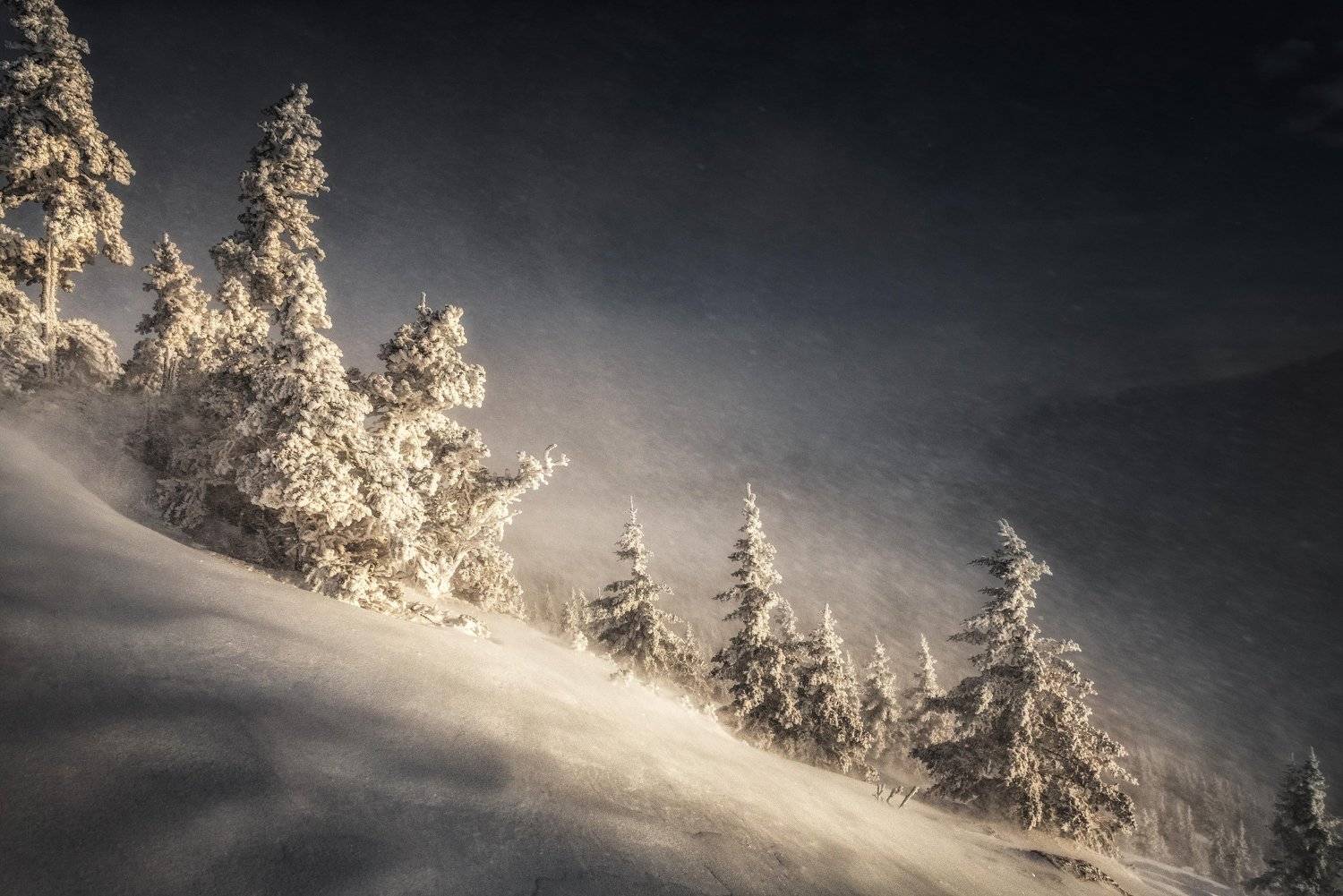 Уреньга. Автор: Татьяна Бирюкова , Татьяна Бирюкова