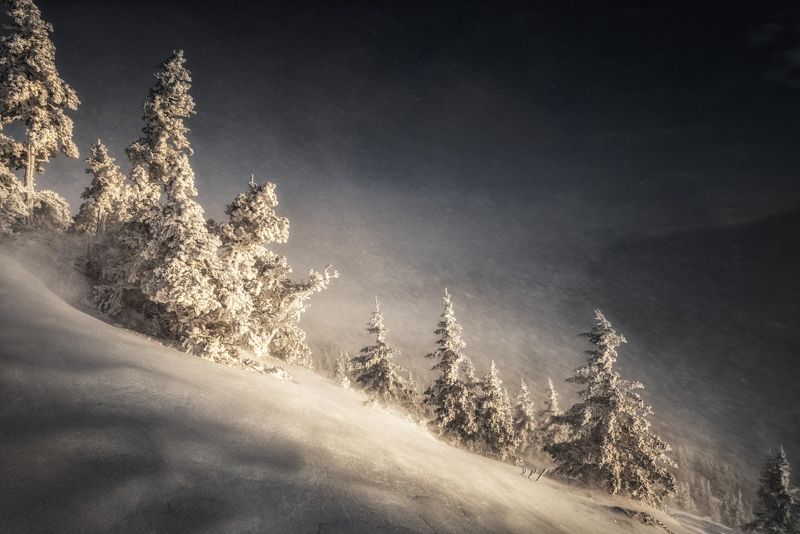 Уреньгаphoto preview