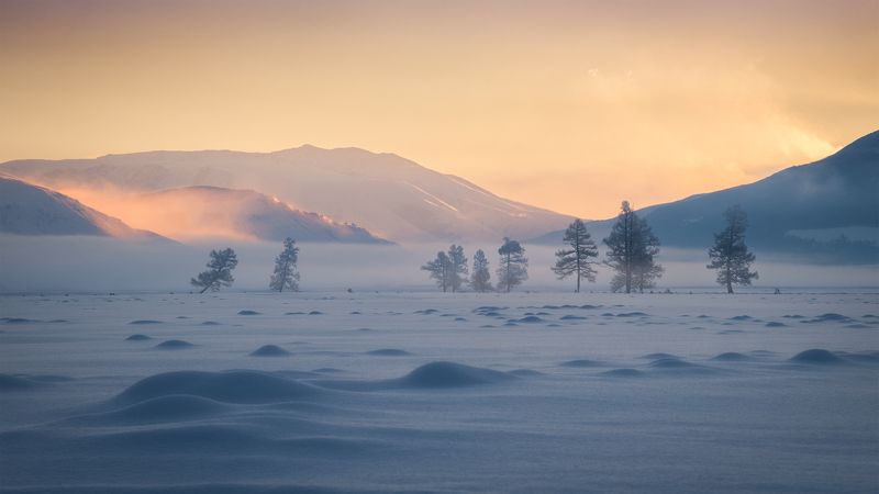 алтай, республика алтай, кош-агачский район, курайская степь, курай, зимний алтай, зима в горах, степь зимой, мороз, иней, туман, рассвет, зимнее утро Морозная негаphoto preview