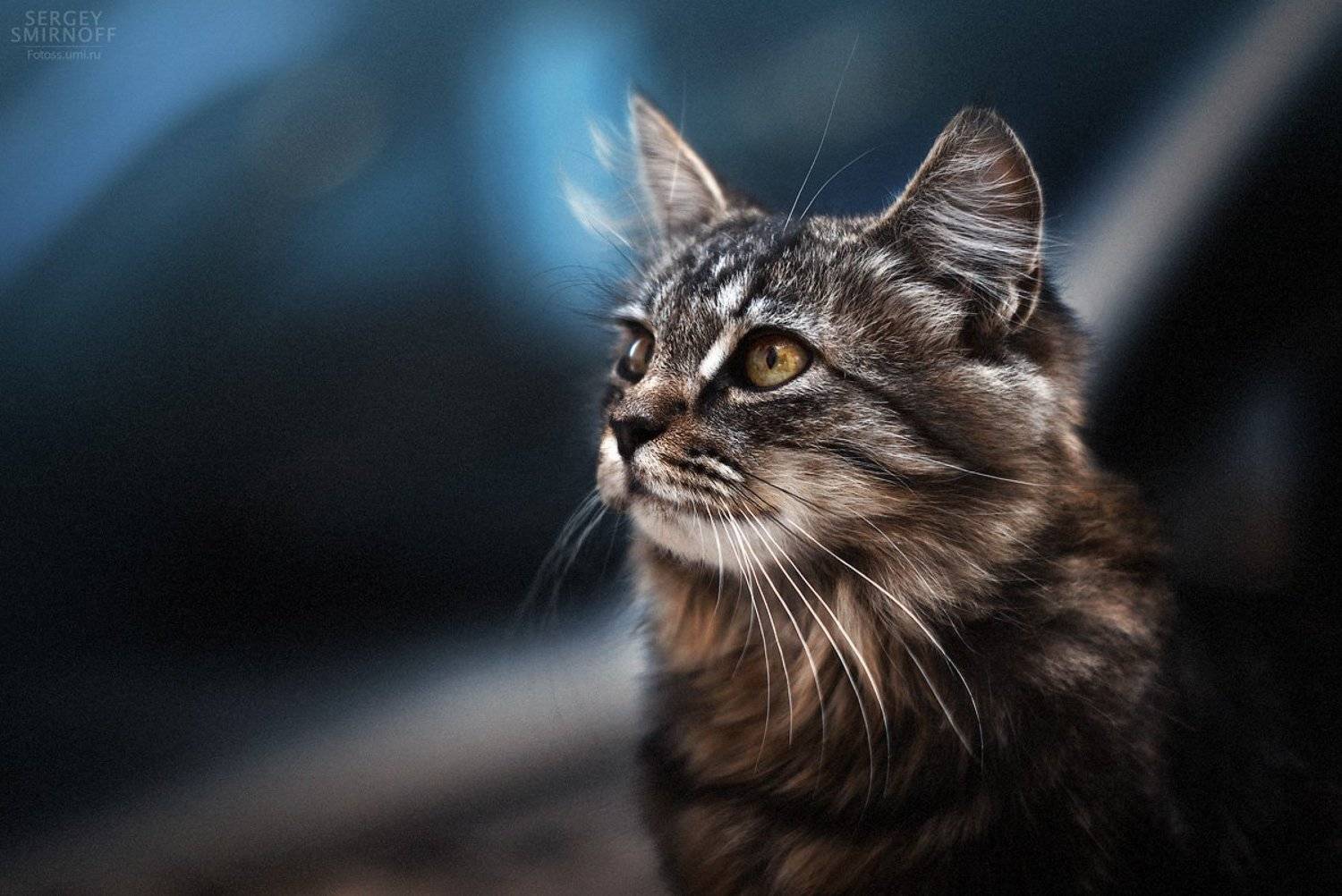 , Смирнов Сергей