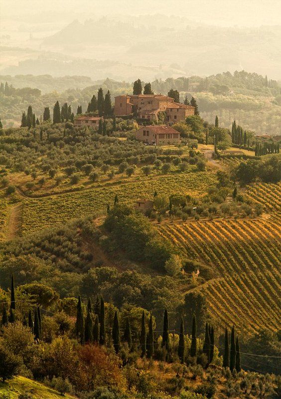 Toscanaphoto preview