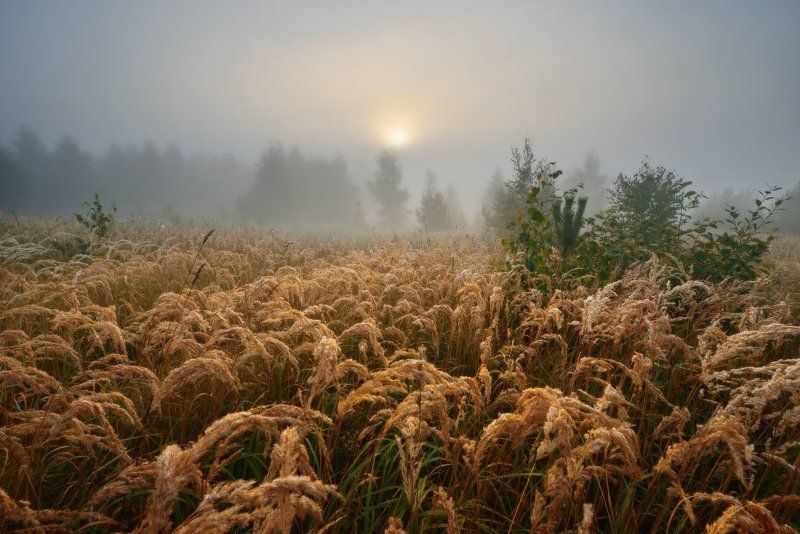 Вашутино ***photo preview