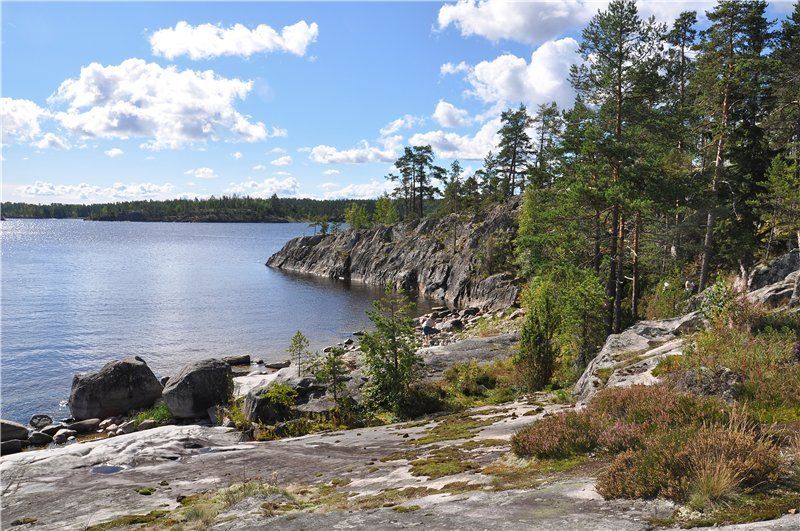 Койонсаари кирьявалахти дача вин, Ладожские шхеры На севере Ладогиphoto preview