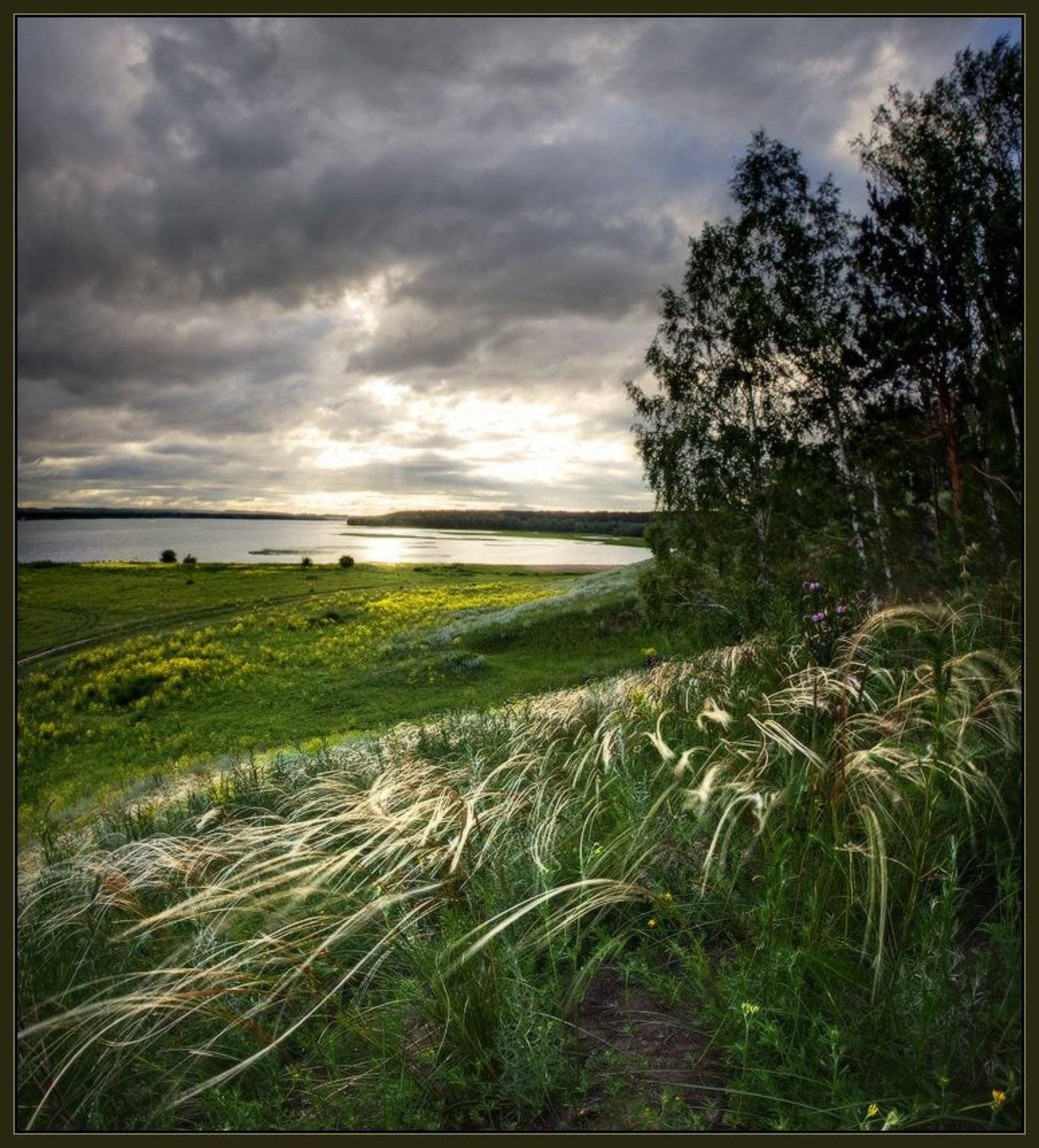 Бердск, Вечер, Вода, Ковыль, Новосибирск, Ярославский виталий, Виталий из Н-ска
