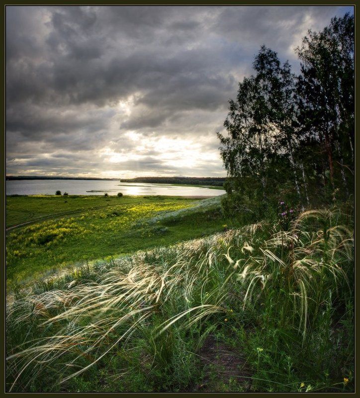 Бердск, Вечер, Вода, Ковыль, Новосибирск, Ярославский виталий Бердский Закатphoto preview