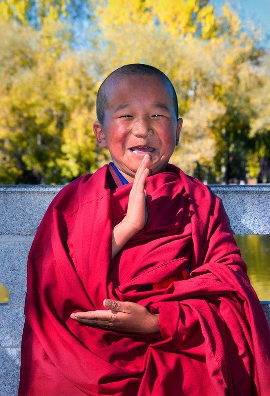 буддизм, лхаса, монах, тибет, улыбка Портрет смешного монахаphoto preview