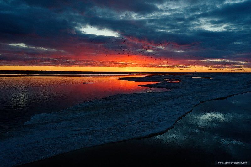 Закат, Море, Пейзаж Sunset in St.Petersburgphoto preview