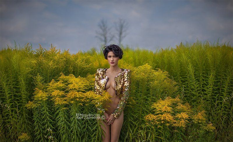 Golden heaven Deer...#6990photo preview