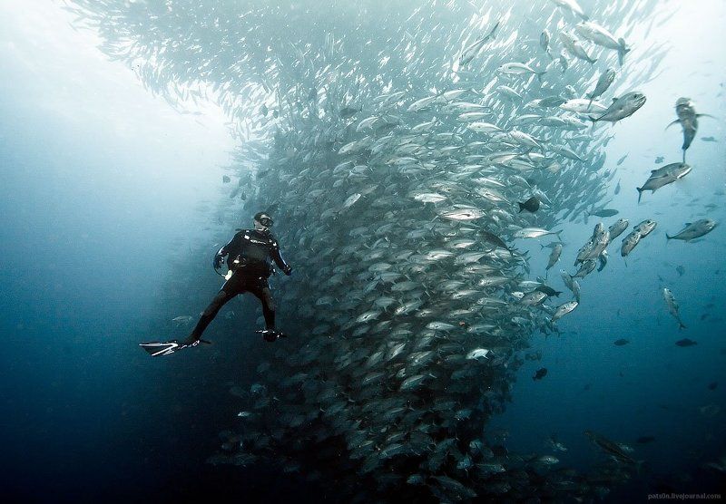 nitrogen tripphoto preview