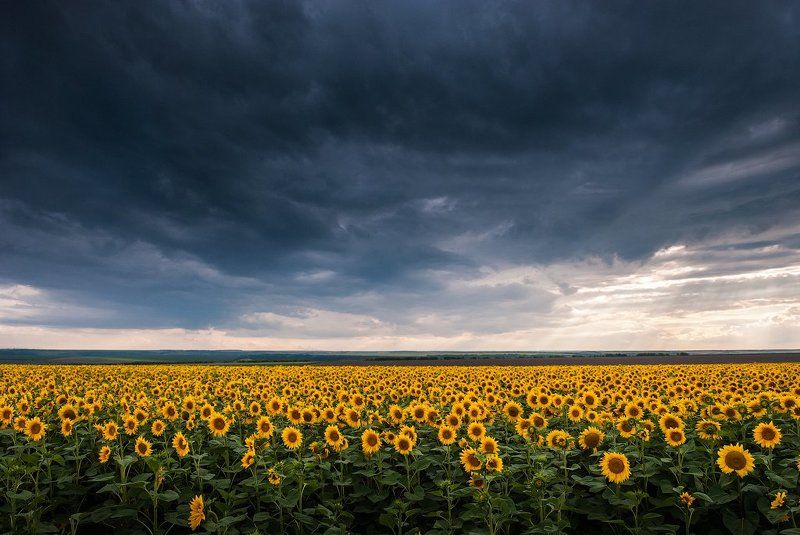 По киевской трассеphoto preview