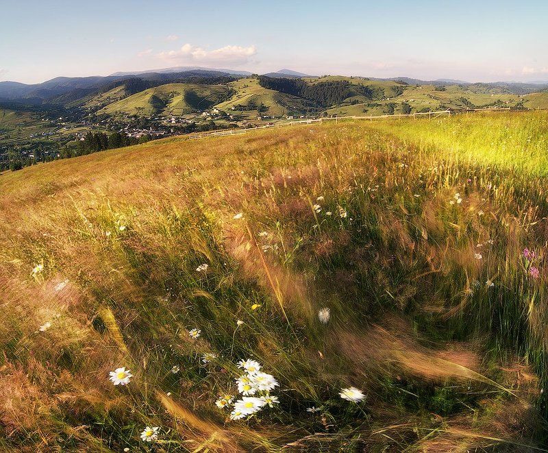 Ветерок уходящего дняphoto preview