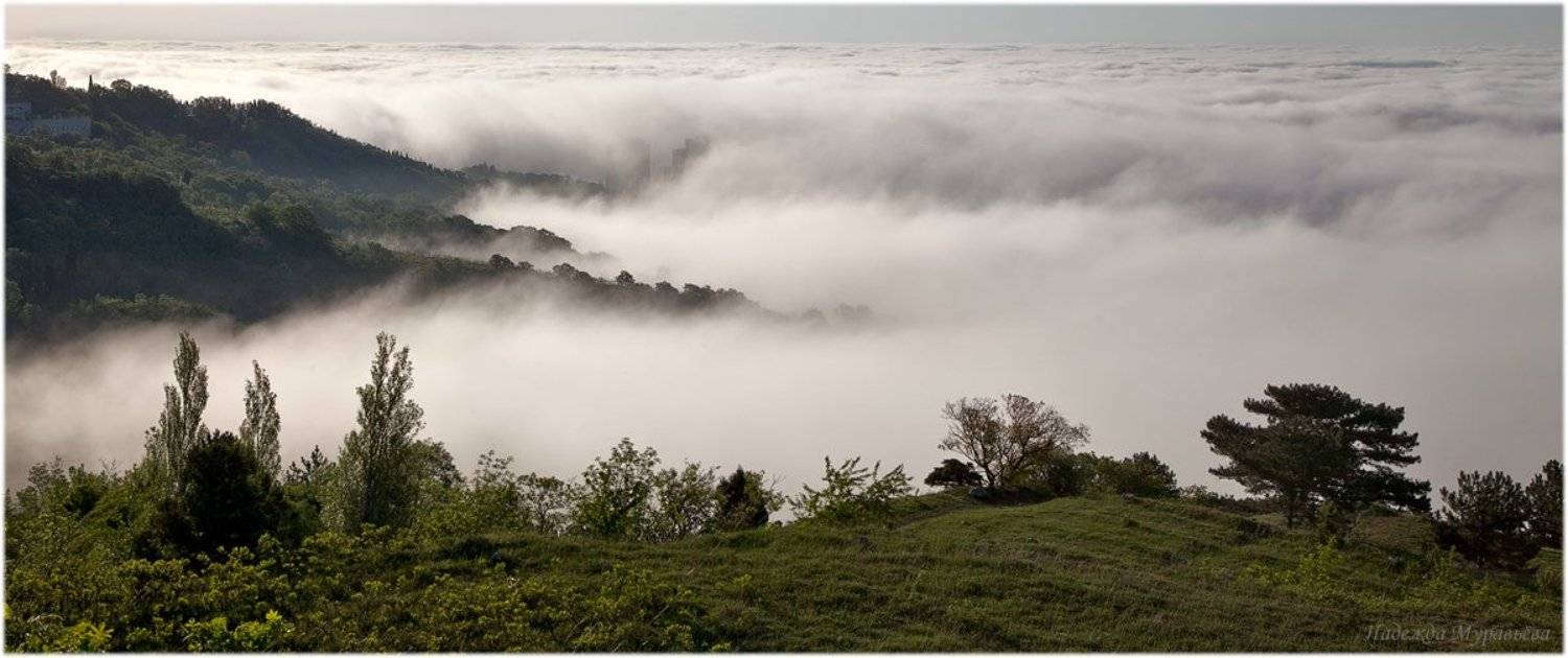 , Надежда Муравьёва