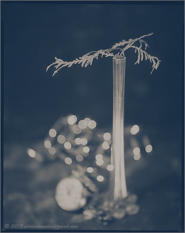 optiscope 19th Century (Bokeh Study #4) фото превью