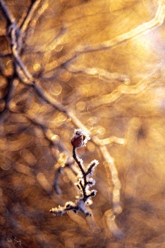 Freezing heat. фото превью