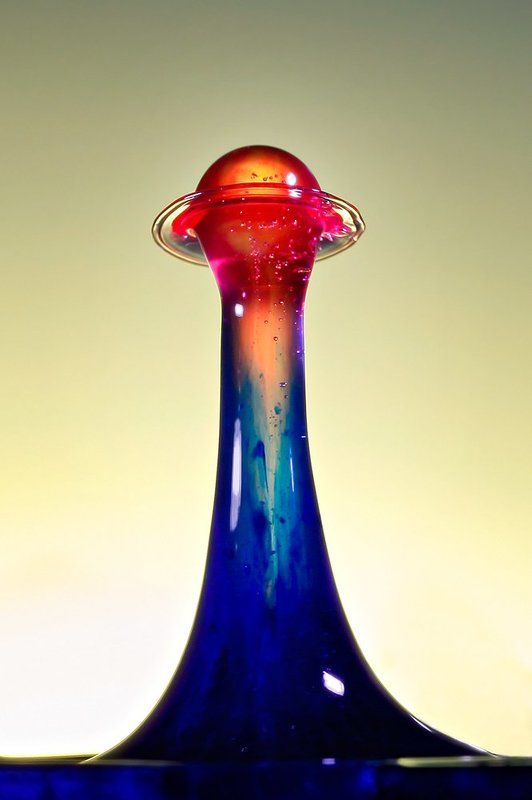 Vivid фото превью