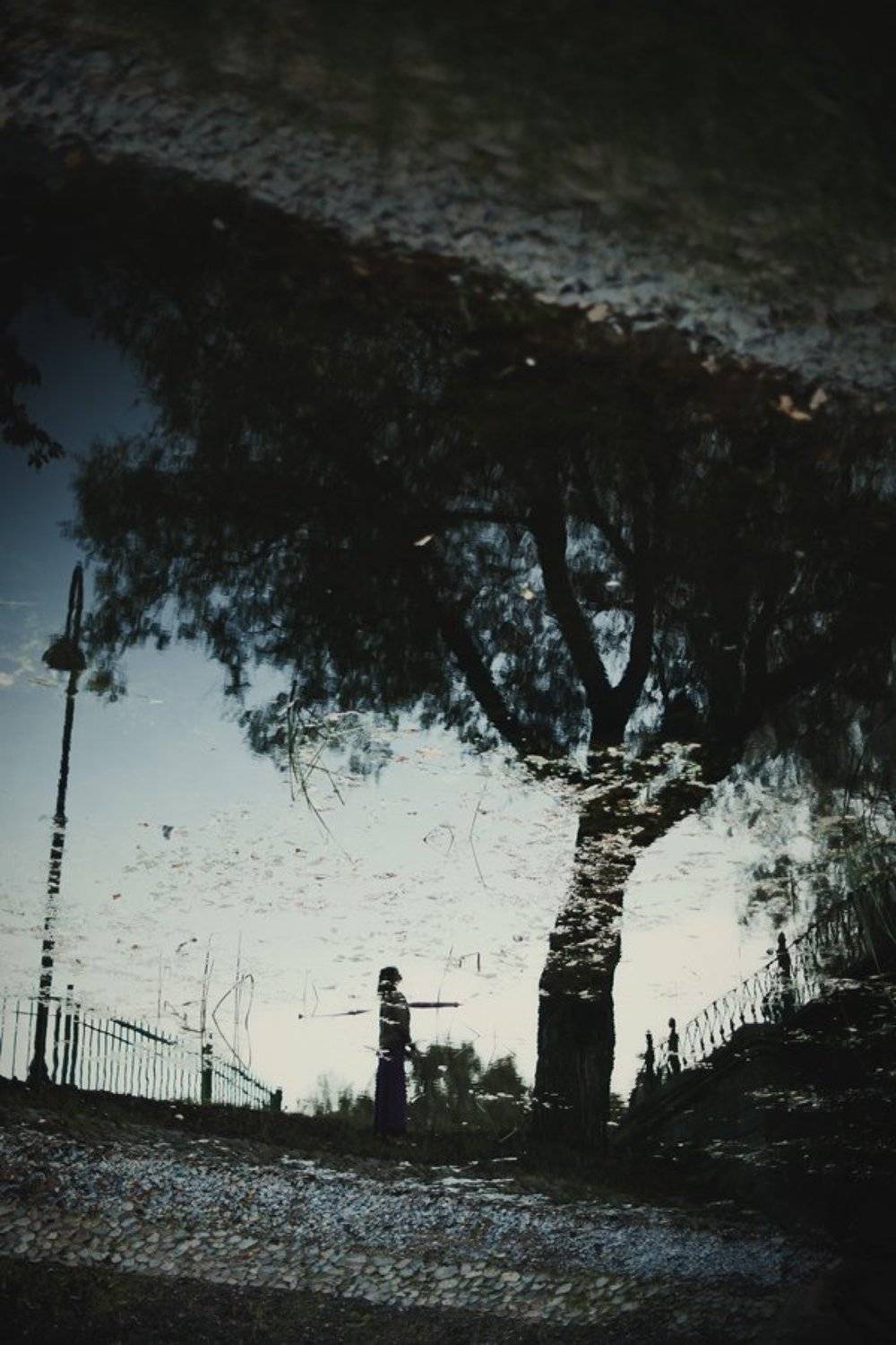 ***. Автор: Микаэлла Сперанская , Микаэлла Сперанская