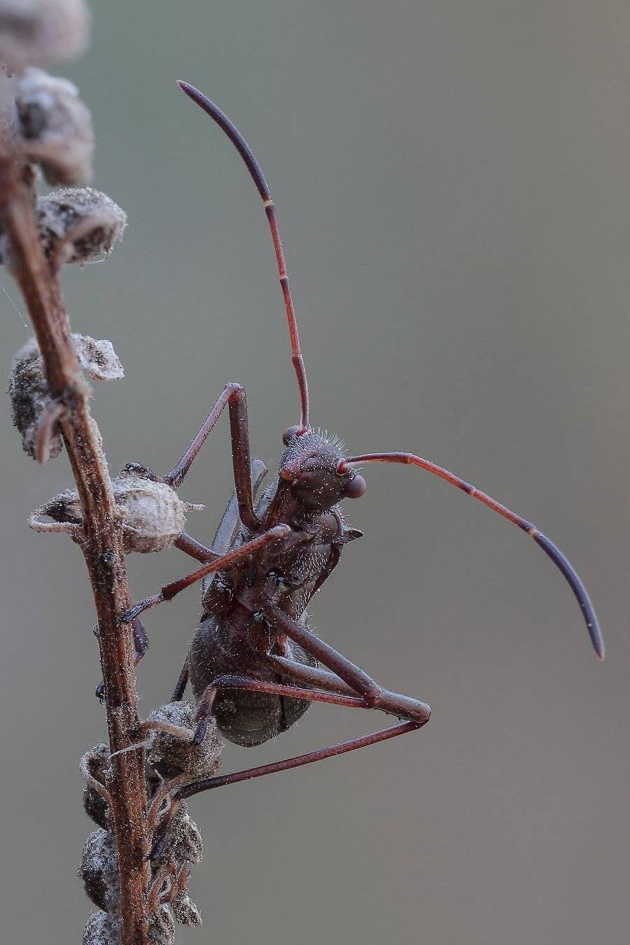 , Вадим Ходаковский