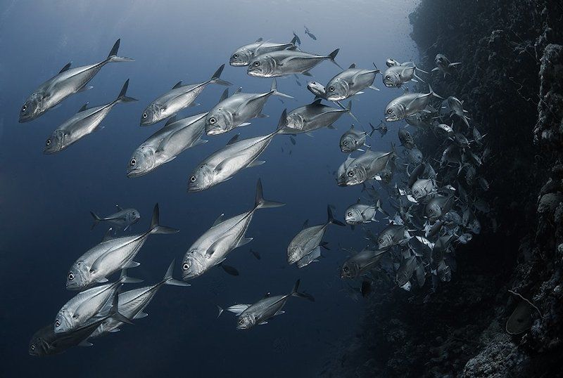 Железный потокphoto preview