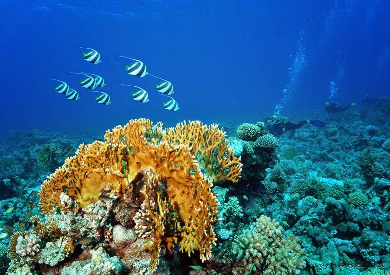 Прятки. Автор: Евгений Варнавский , Евгений Варнавский