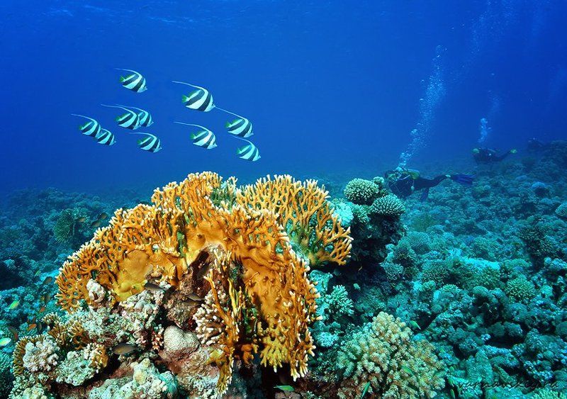 Пряткиphoto preview