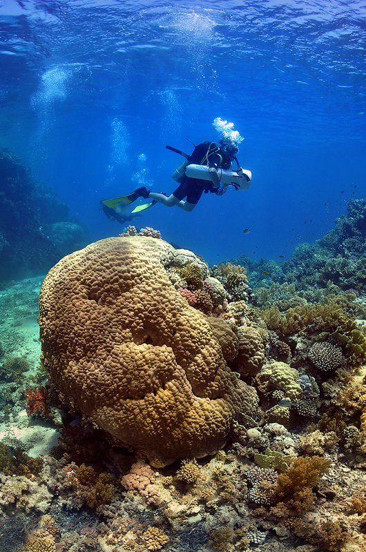 Передний привод, Turbo )photo preview