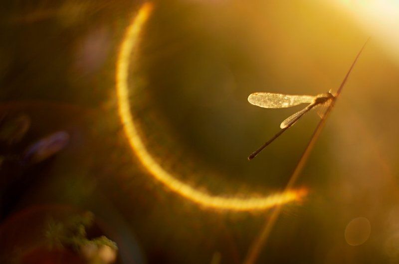 Welcome to hell. фото превью