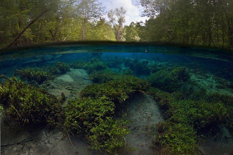 николаев, эдуард Сплит с Зеленого ключа.photo preview