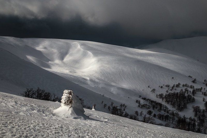 Снежная невестаphoto preview