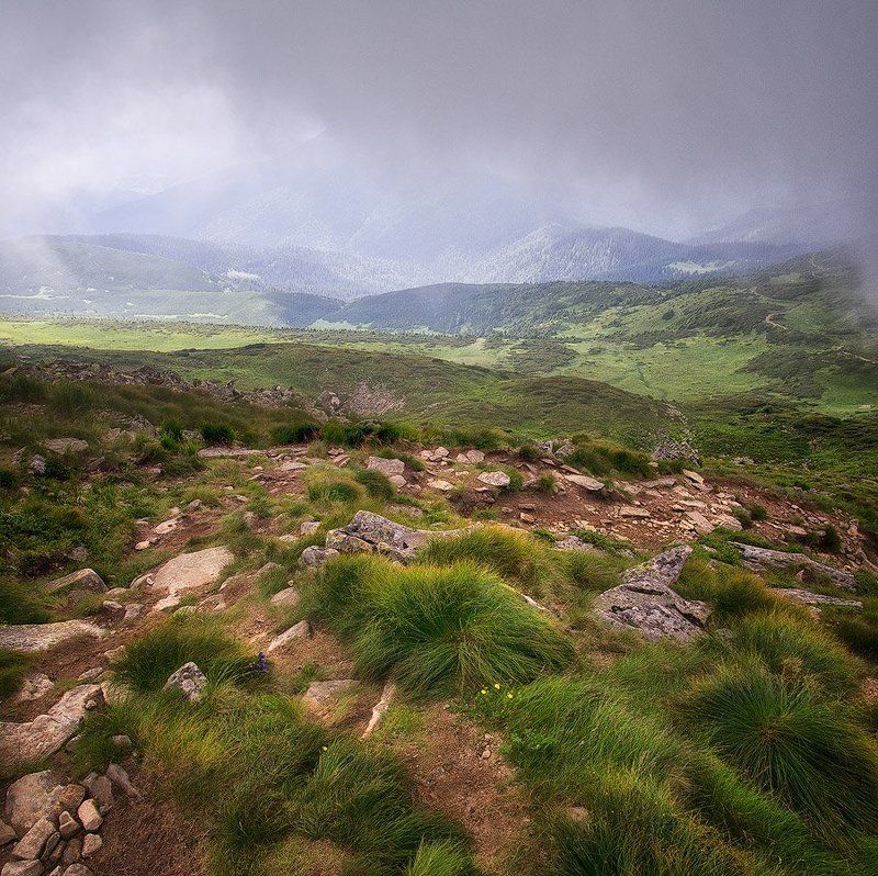 Говерла, Горы, Карпаты Вид с Говерлыphoto preview