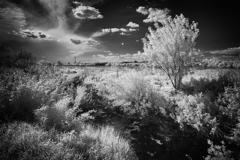 Ижевск, Инфракрасная съемка Итоги мелиорацииphoto preview