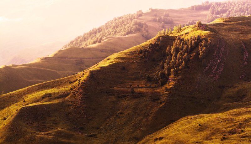 Золотой рассвет.photo preview