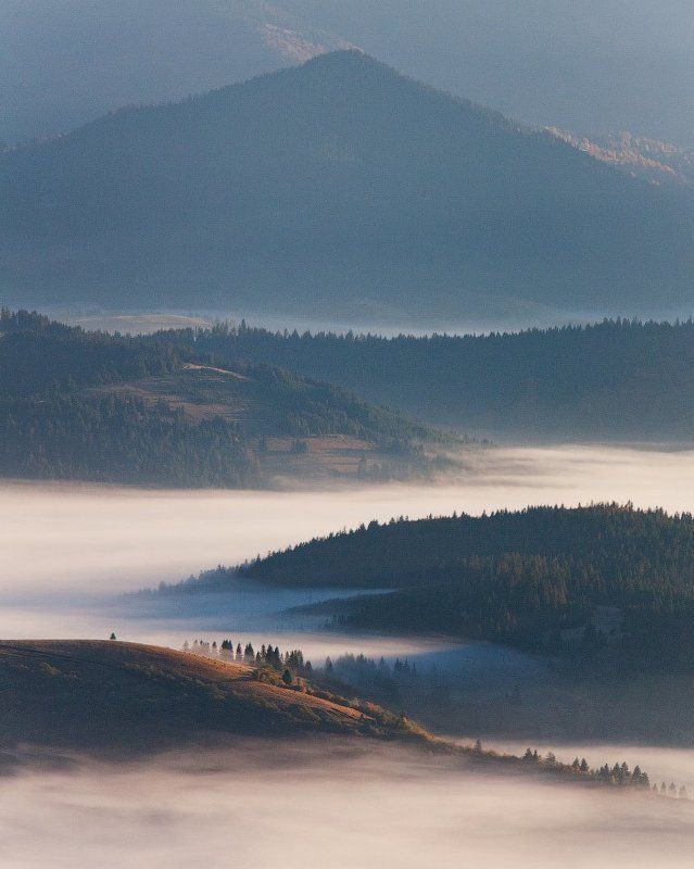 Карпаты, Пейзаж, Туман, Украина, Утро photo preview