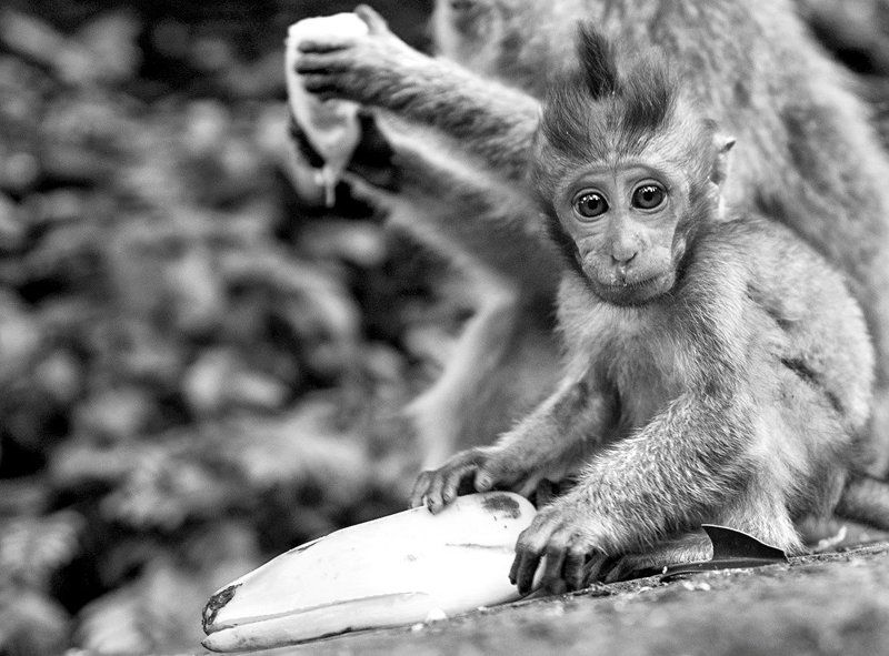 Балийские жители...photo preview