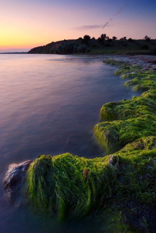 Зелёный прибойphoto preview