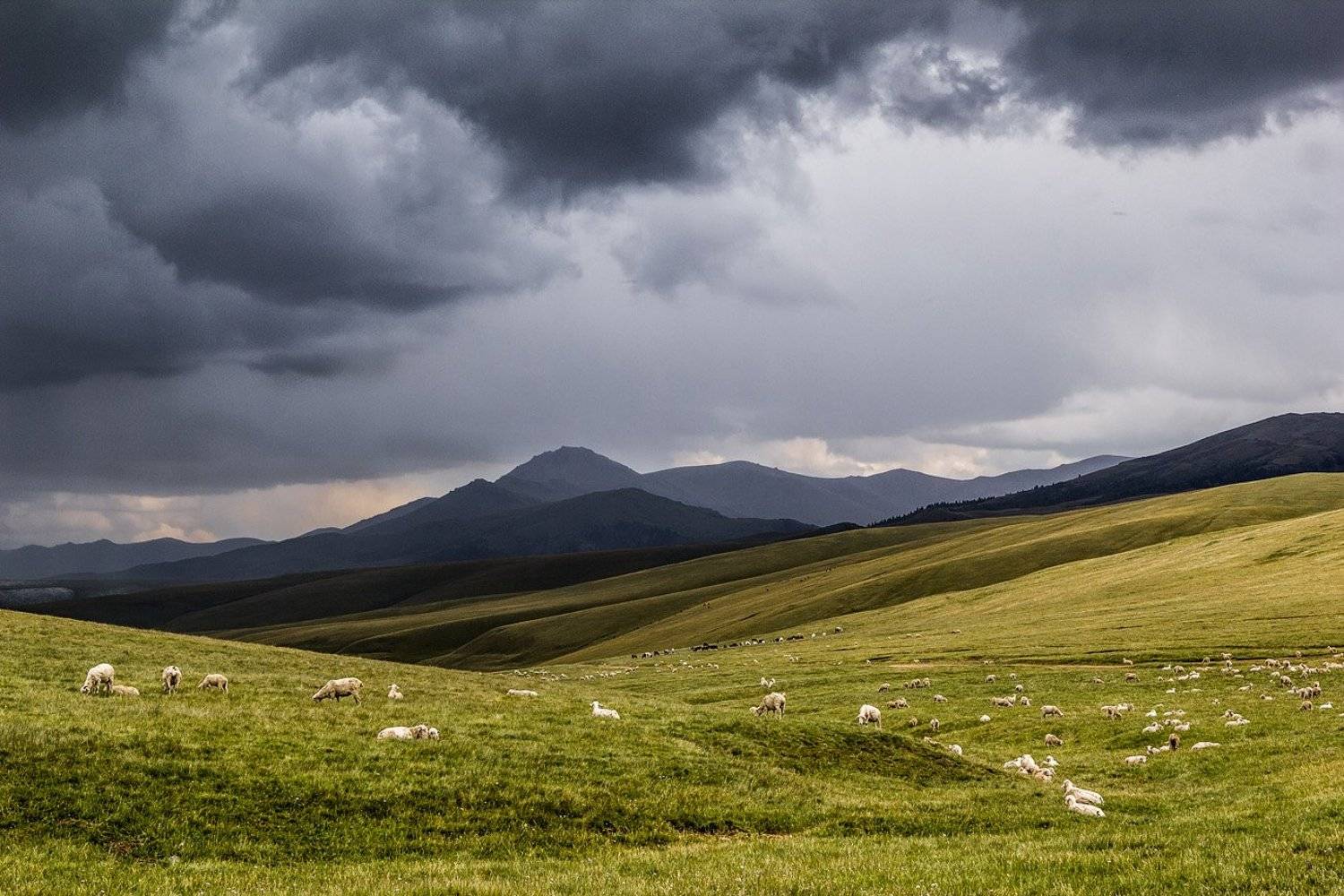 Жайляу. Автор: Сергей Теректі , Сергей Теректі