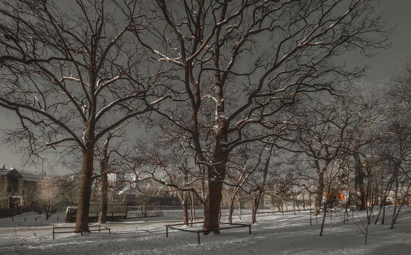 инфракрасный ****photo preview