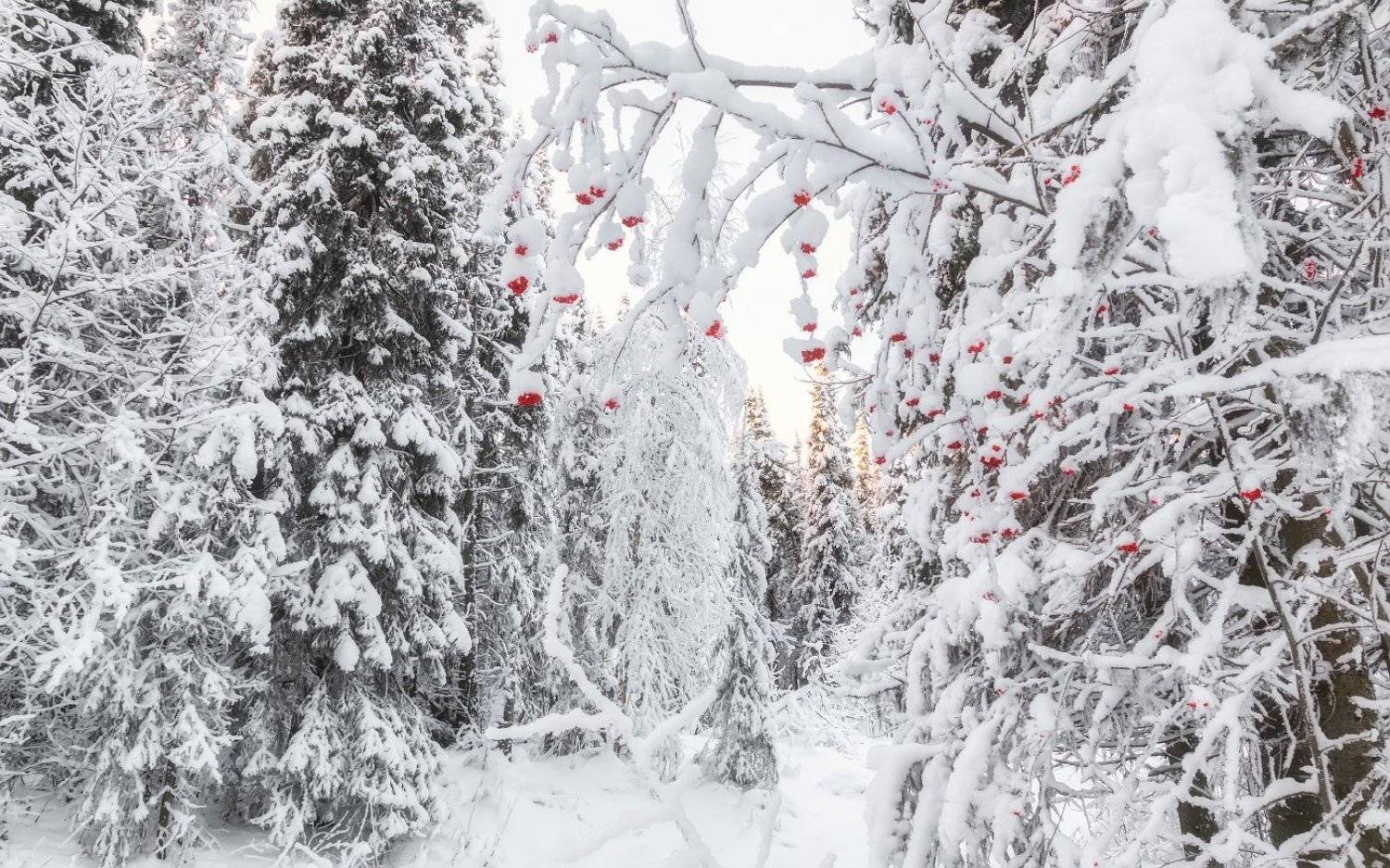 печора,коми,снег, Игорь Подобаев